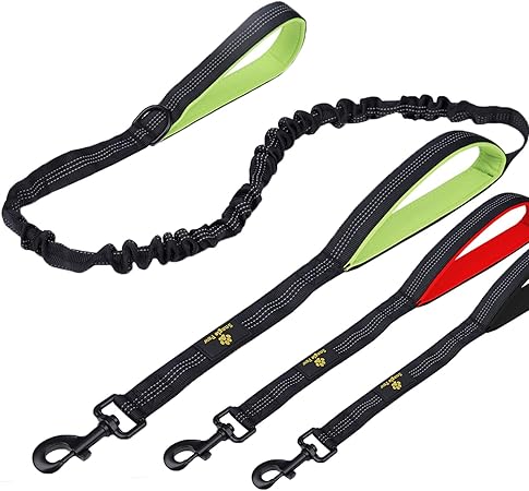 long bungee dog lead
