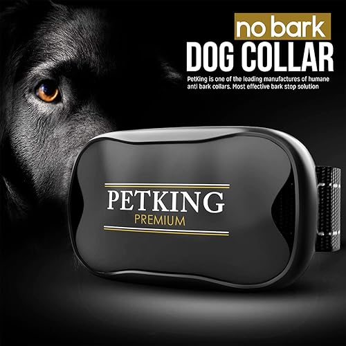 best bark collar 2018