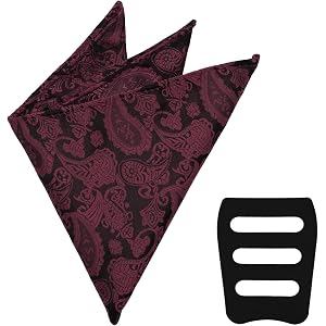 Dvmmlis Paisley Pocket Squares for Men 9.6" Handkerchiefs with Holder | Vintage Paisley Pattern, With Pocket Square Holder, M