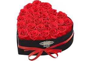 Agrul Roses Gifts for Her,Forever Preserved Flowers Roses in a Heart Shape Box,Anniversary Birthday Gifts for Wife Women Mom Best Friend Girlfriend/28Pcs Red Roses