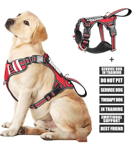 Bcadem No Pull Service Dog Harness Bcadem Julius K9 Service Dog