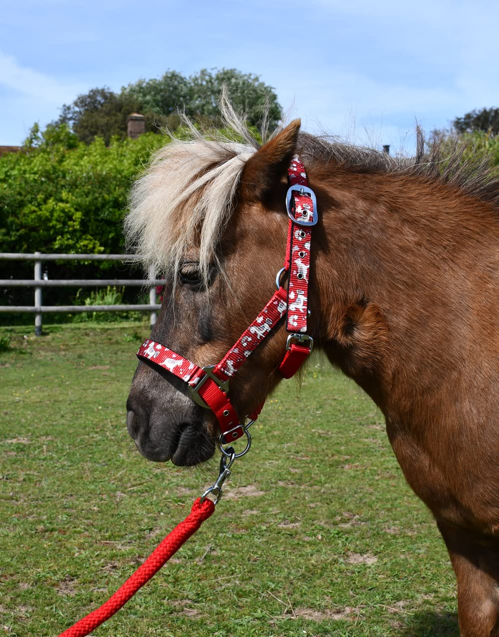 Rhinegold Unicorn Headcollar and Rope Set - Shetland - Red