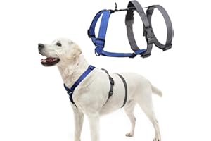 PUPTECK Escape Proof Dog Harness - No Pull Soft Padded Full Body Pet Halter Harness with Lift Handle for Small Medium Large Doggies Walking Hiking Hunting, Navy Blue & Grey, M