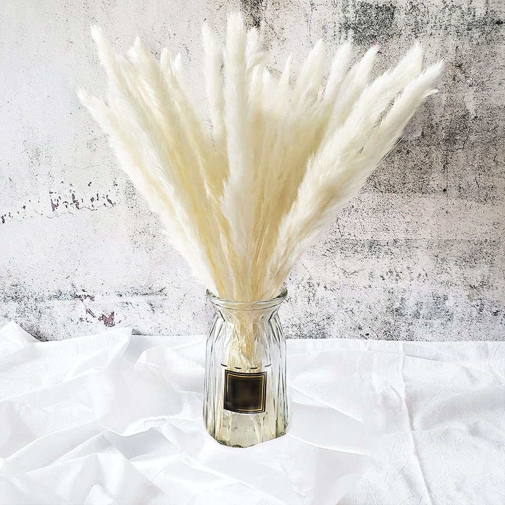 Beau Jour Natural Dried Pampas Grass 30pcs for Flower Arrangements Home Decor