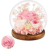 Preserved Roses Real Flowers in Glass Gifts for Women,Mom,Girlfriend,Grandma,Long-Lasting Eternal Roses with Led Lights,Flowers for Delivery Prime Valentines,Birthday,Mothers Day,Christmas(Pink)