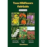 Texas Wildflowers Field Guide: Identifying Native and Invasive Flower Species