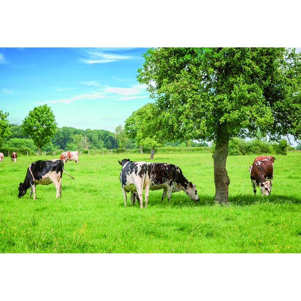 Aoihrraan 2,7x1,8m West Pasture Backdrop Grassland Ranch Cows Green Lawn Prairie Scenery Photography Background Baby Shower Decor Banner Children Adults Travel Artistic Portrait Photo Studio Props