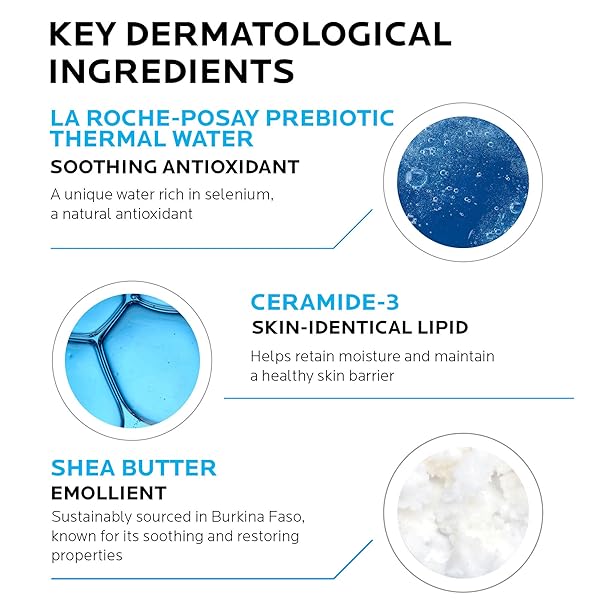 LA ROCHE-POSAY LIPIKAR AP+ TRIPLE REPAIR MOISTURIZING CREAM, FACE & BODY LOTION FOR DRY SKIN, SHEA BUTTER & NIACINAMIDE MOISTURIZER, GENTLE FACE & BODY CREAM FOR DRY, ROUGH & SENSITIVE SKIN