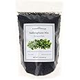 Sulforaphane MICROGREEN Seed Mix | Perfect for Microgreen Growing Trays | Kale, Cabbage, Turnip & Broccoli Sprouting Seeds | Non GMO Heirloom Seeds | 1 LB Resealable Bag | Rainbow Heirloom Seed Co.