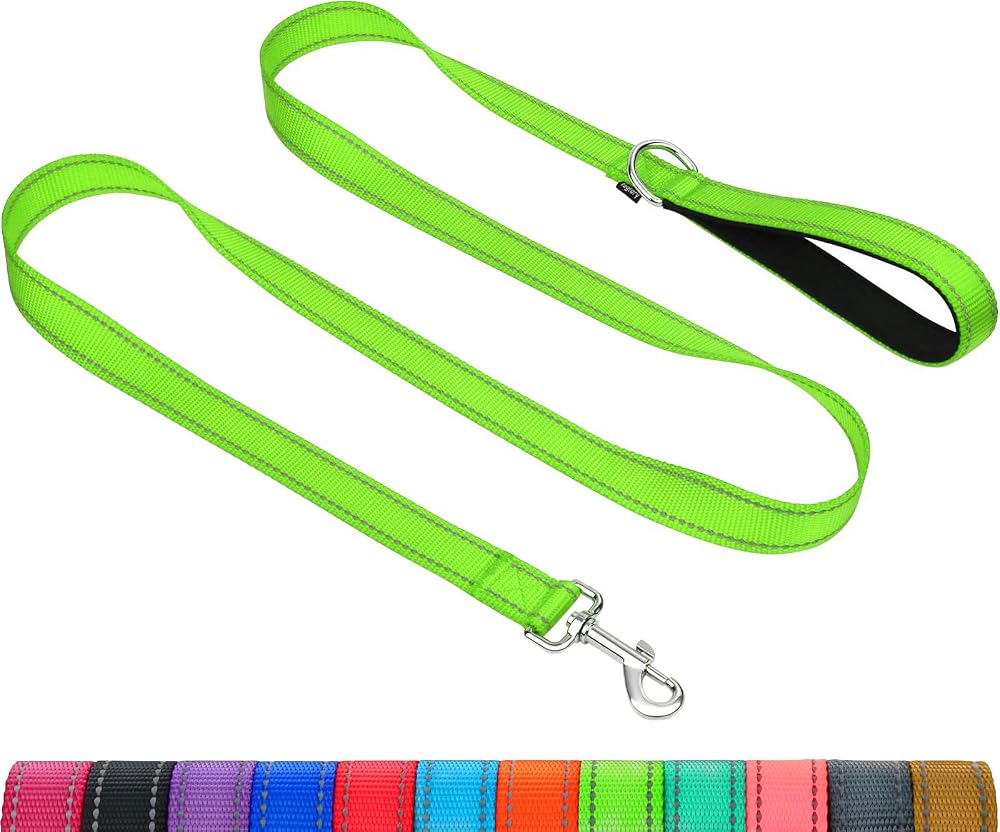 Taglory Dog Lead 2 cm Wide 1.8 m Neon Green Reflective Padded Handle