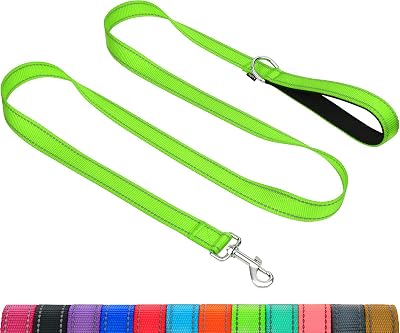 Taglory Dog Leash Reflective Double Sided Neon Green 2 cm x 120 cm