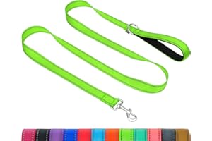 Taglory Dog Leash for Small Dogs, Double-Sided Reflective Dog Leash with Soft Neoprene Padded Handle, 3/4 inch by 6 ft, Fit Small Medium Large Breeds Dogs Under 20 lbs, Green