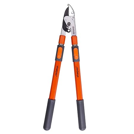 Sharpex Telescopic Extra Leverage Anvil Lopper (37 inch, Orange)