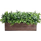 Winlyn 14" Artificial Boxwood Plants in Rectangular Wood Planter Farmhouse Greenery Arrangement Centerpiece Faux Potted Herb Plant for Wedding Dining Room Table Kitchen Windowsill Mantel Shelf Décor