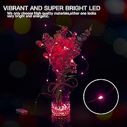 Brightown 12 Pack LED Fairy