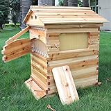 Golden Palace Bee Hive, Beehive with 7pcs Auto