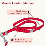 Beaphar Gentle Leader Head Collar for Medium Dogs - Anti-Pull Training view 8