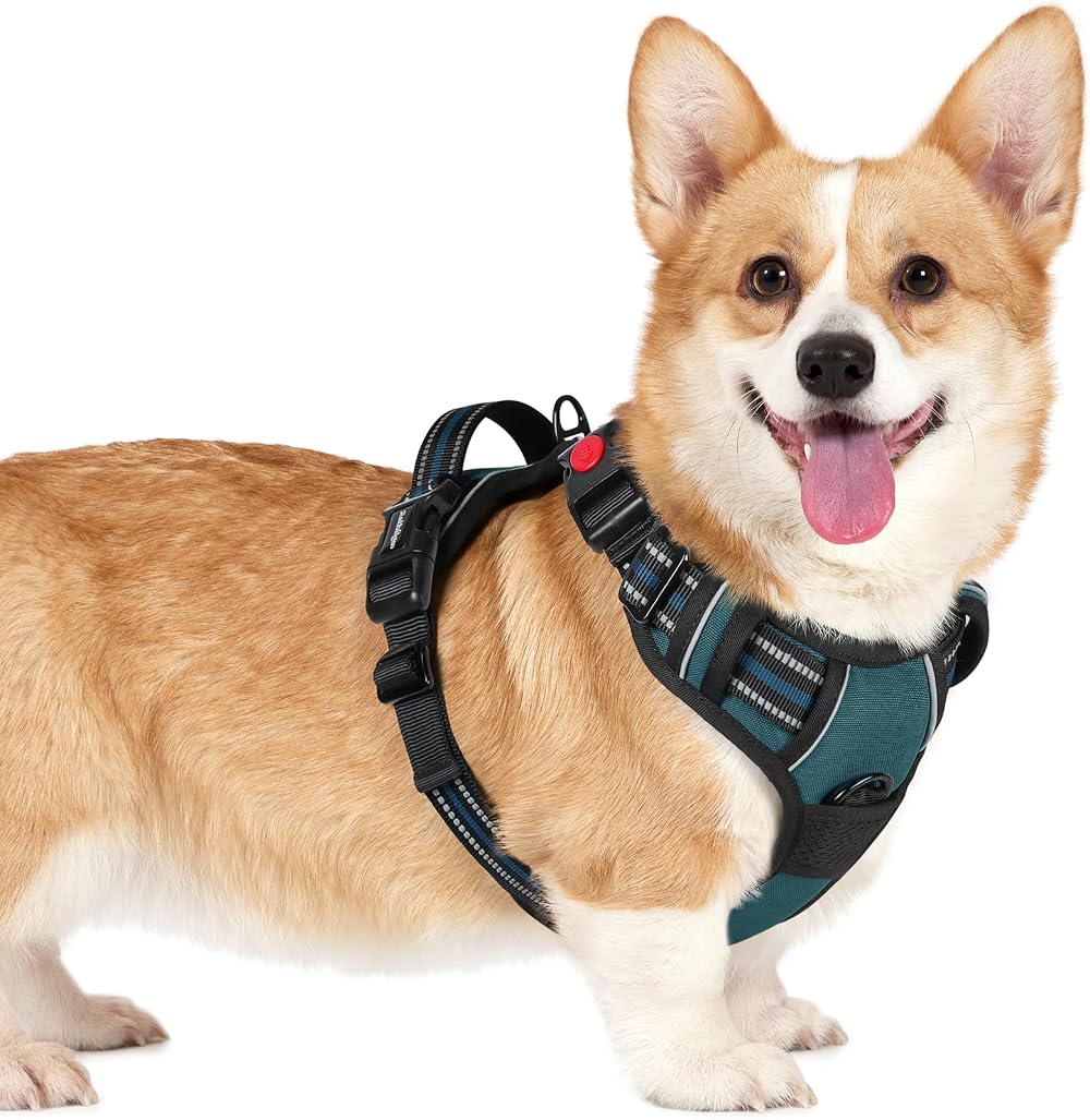 rabbitgoo Dog Harness Large No Pull Front Back Leash Clips Reflective Dark Green