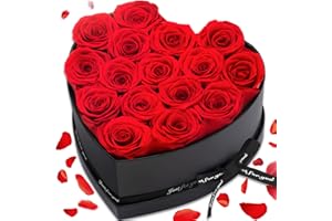 RIANEAN Mothers Day Rose Gifts, 16-Piece Preserved Red Roses in a Box, Birthday Gift for Women, Ideal Mother's Day Flower Gifts for Mom from Daughter, Fresh Forever Roses Gifts for Wife, Mom Gifts for Grandma