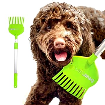 dog scratcher brush