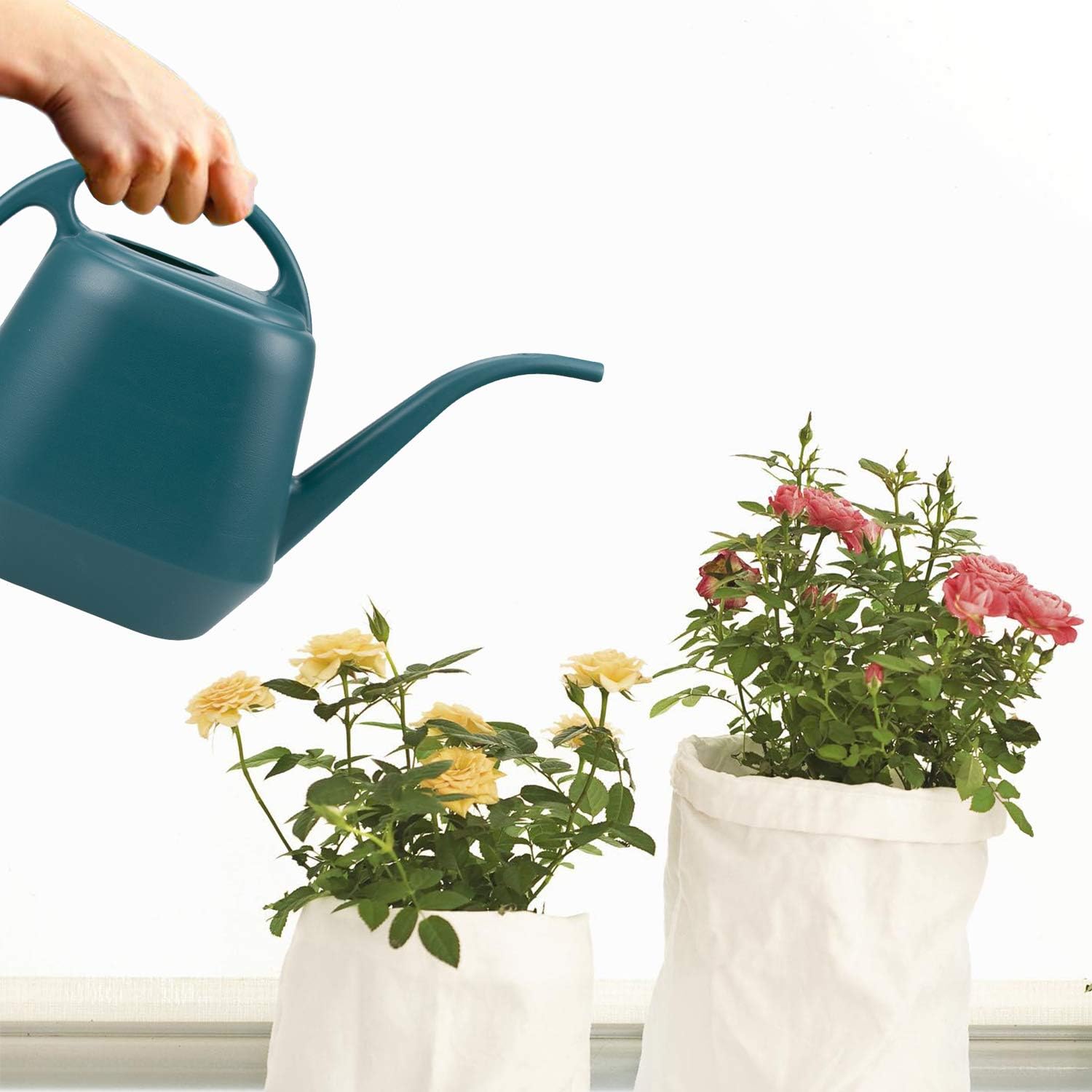 Fasmov Plastic Watering Can, 1-Gallon, Green : Garden & Outdoor