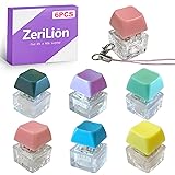 ZeriLion 6 Pack Keyboard Keychain Fidget - Keycap