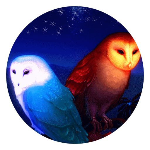 Cute Owl Live Wallpaper Amazon Com Appstore For Android