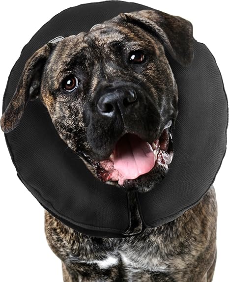 zenpet pro collar