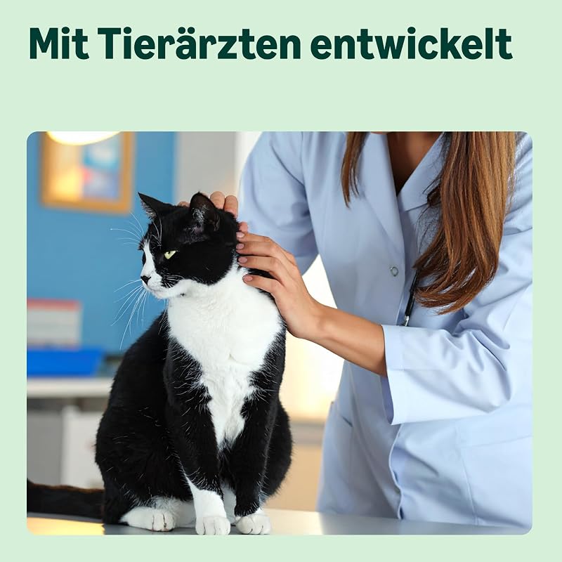 Alleinfuttermittel für Katzen mit getreidefreiem Rezept, Senior, mit frischem Huhn, 3 kg