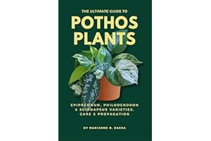 The Ultimate Guide to Pothos Plants: Epipremnum, Philodendron & Scindapsus Varieties, Care & Propagation