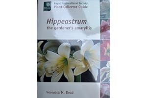 Hippeastrum: The Gardener's Amaryllis (Royal Horticultural Society/Timber Press Plant Collectors Guides Series)