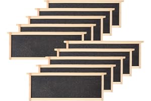 BeeCastle Medium Beehive Frames and Wax Foundations,10 Pack Honey Bee Frames with Wooden Bee Hive Frames and 100% Beeswax Coated Foundations, 6-1/4-Inch (Black)