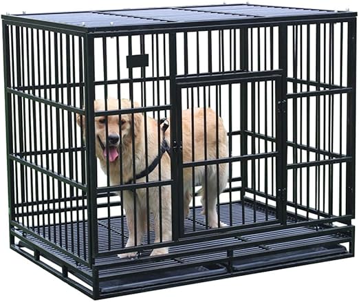 dog chewing metal crate