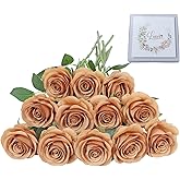 LVEFIT Artificial Rose Flower Artificial Flowers Flower with Long Stem Silk Roses Bouquet for Wedding Bridal Shower Party Home Decoration (Terracotta, 12 Pcs)