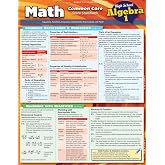 Math Common Core Algebra 1-9Th Grade: QuickStudy Laminated Reference Guide