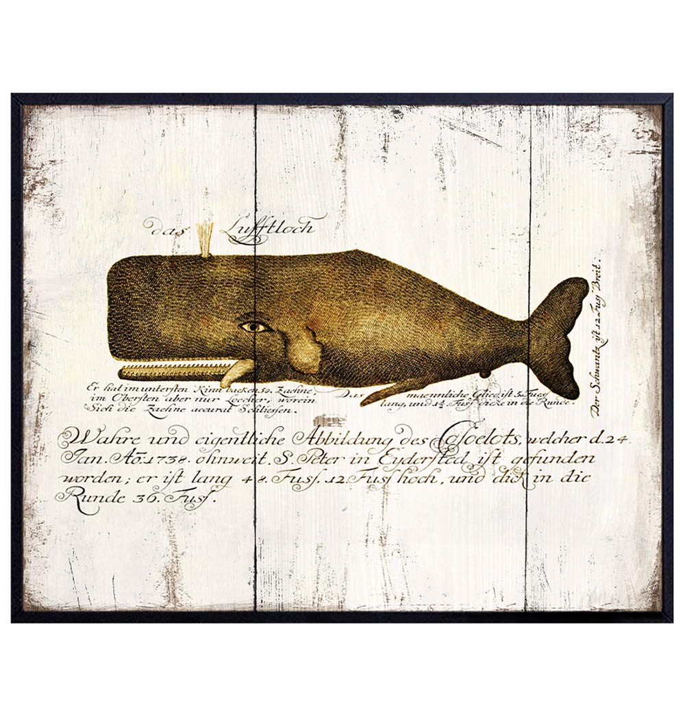 Amazon Com Vintage Rustic Whale Decor Nautical Beach House Wall Art For Bathroom Living Room Bedroom Office Ocean Decor Moby Dick Home Decoration Boho Shabby Chic Wood Sign Replica