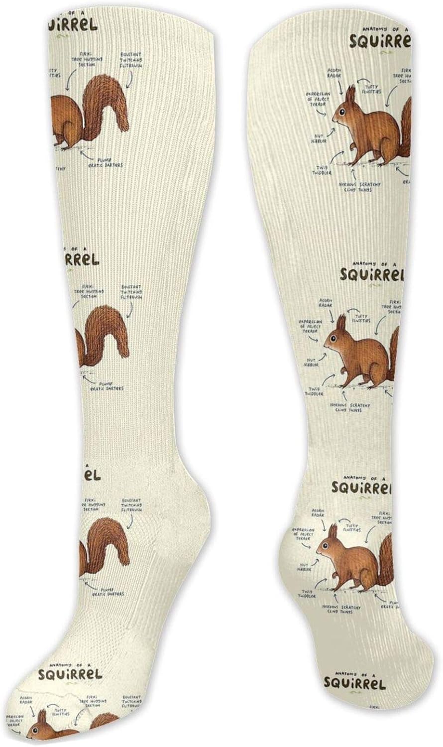 Amazon.com: Anatomy Of A Squirrel Unisex Compression Socks Knee High