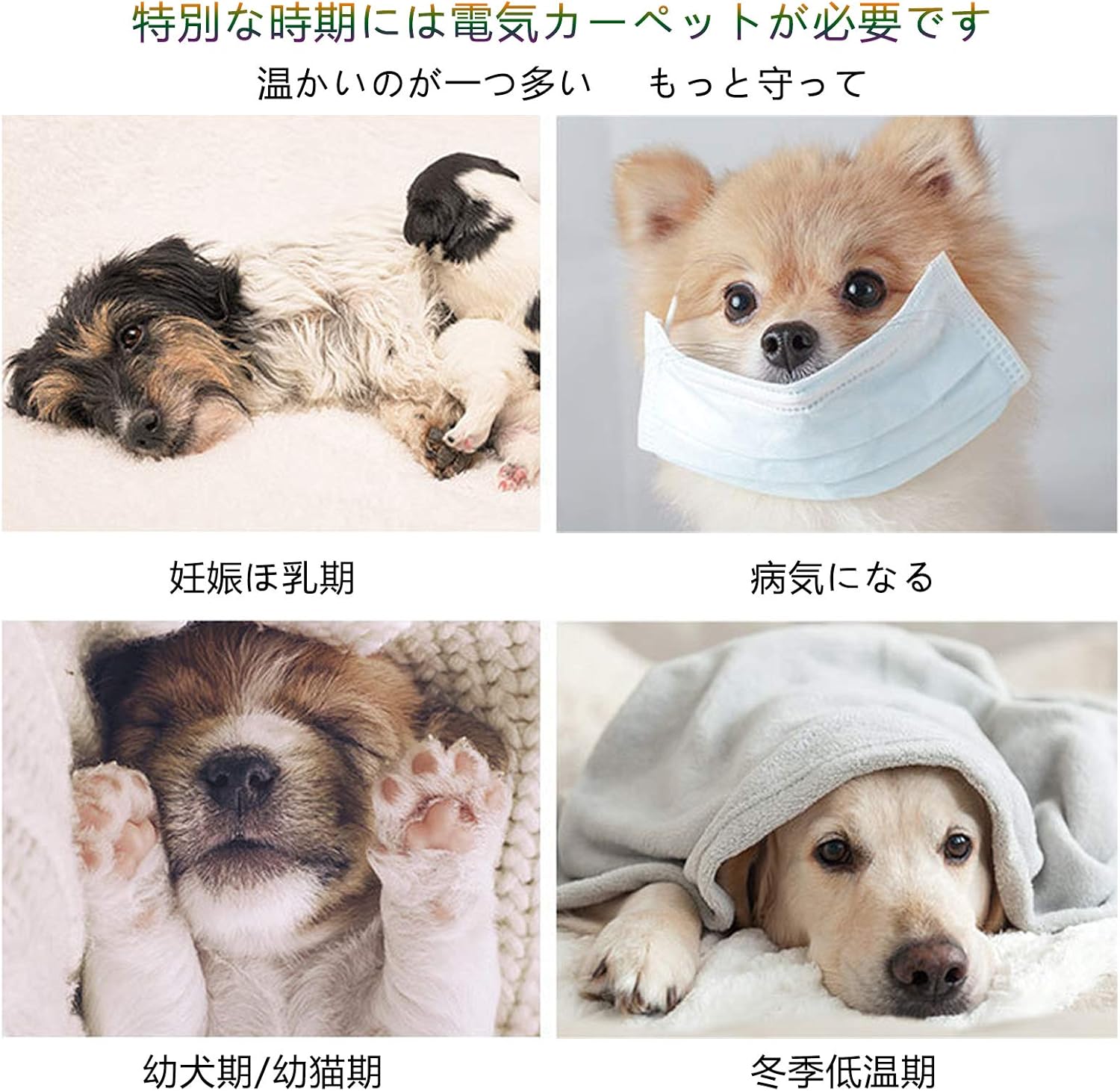 Amazon Co Jp ホットマット ペット用 ベッド マット 猫 犬 マット 暖かい ペット用保温マット ホットカーペット ペットマット ペット カーペット ペットヒーター 洗える 冬 犬クッション 防寒 寒さ対策 ふわふわ あったか 灰色の 50 70cm ホーム キッチン