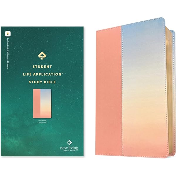 【希少品】英語の聖書　NLT Thrive Bible 書き込めるノート欄付き NLT SonRise - Resurrection of Christ Bible – Humble Lamb