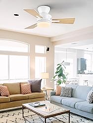 LEDIARY 30 Inch Small Ceiling Fan with Lights and