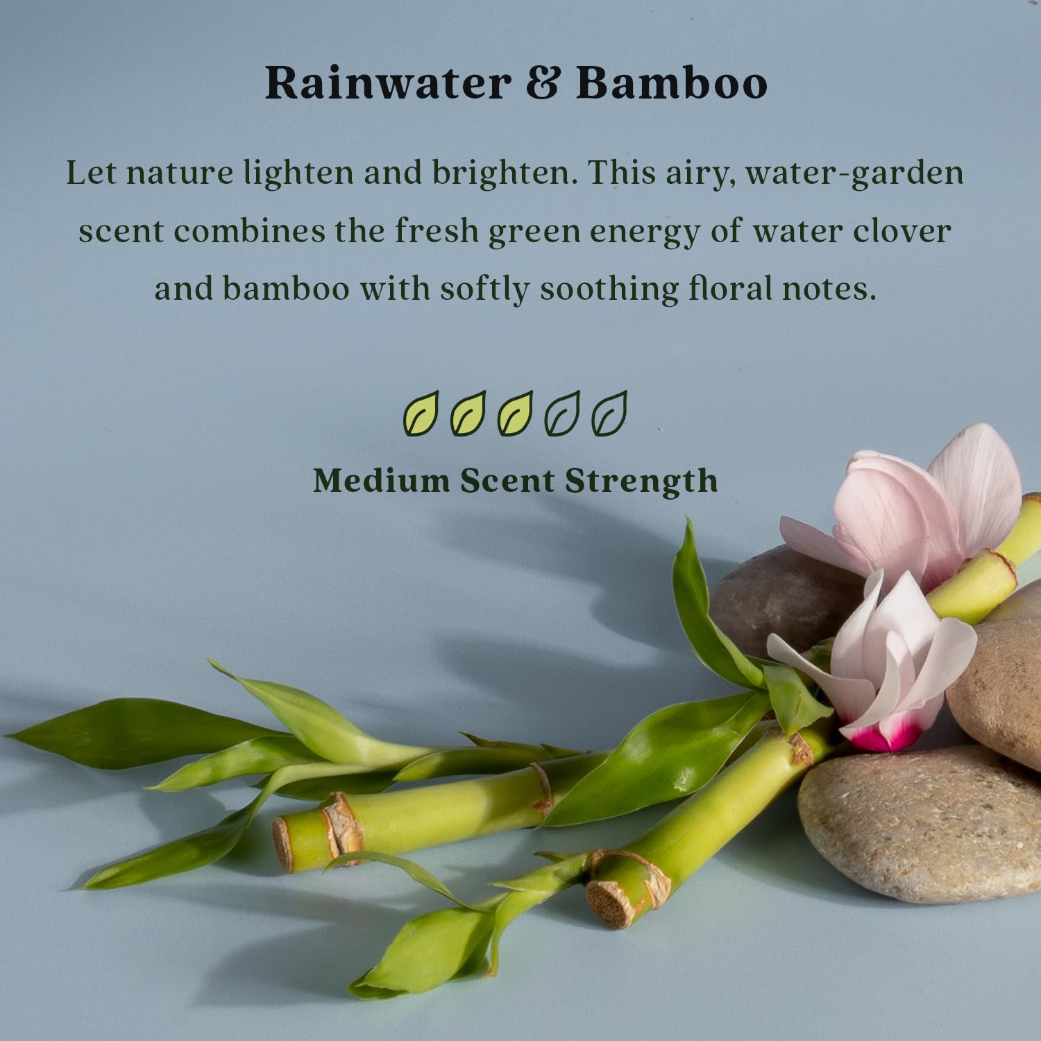 Enviroscent Non Toxic Air Freshener Plug-in Home Fragrance Last 45+ Days | Kit includes 1 Refillable Plug In Warmer & 1 Scent Refill (Rainwater & Bamboo)