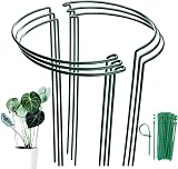 MUAEEOK 6 Pack Plant Support Stakes 25x60cm Half Round Garden Cage