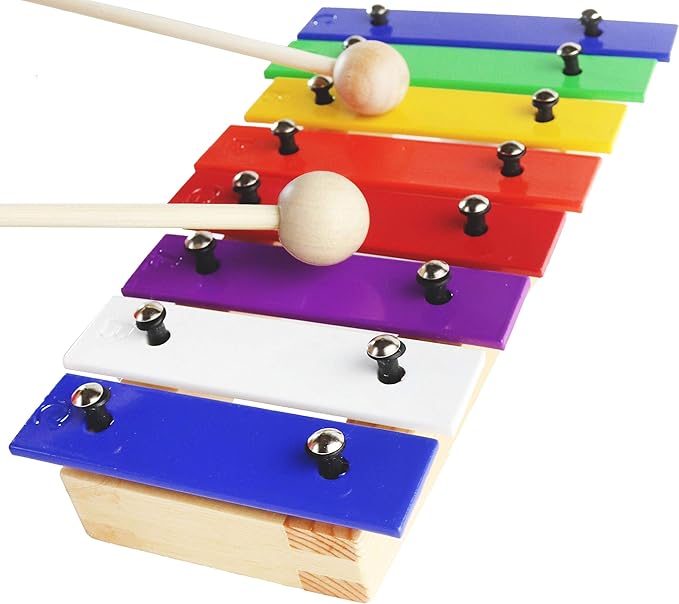 Amazon.com: Mini Xylophone for Children - Color Musical Instrument - e