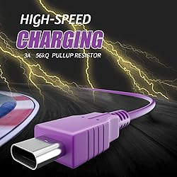 Switch USB-C Charger Cable – Fast Charging Cord