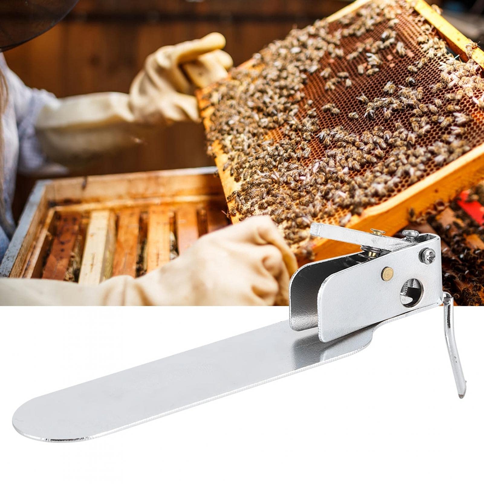 Nivvity Beekeeping Grafting Tool, Beekeeping Grafting Needle Shift Pin Insect Larva Transferring Tool Single‑End Stainless Steel