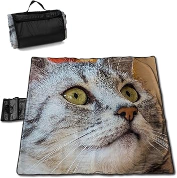 Amazon 驚いた 猫柄 ピクニックマット レジャーシート ファミリー レジャーマット 折りたたみ クッション 持ち運び おしゃれ 花火大会 運動会 遠足 キャンプ 145 150cm 2 6人用 Toni レジャーシート