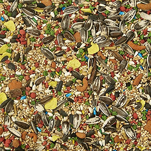 2 Kaytee+Forti+Diet+Health+Cockatiel+Food