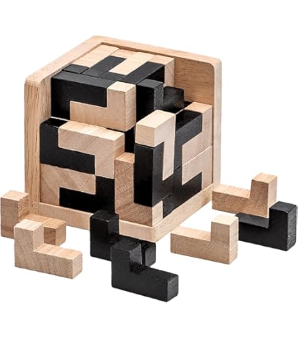 Amazon.com: Wooden Brain Teaser Puzzle Skills Builder Shape Pieces