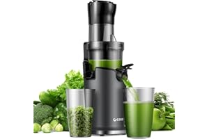 GDOR Cold Press Juicer Machines, Masticating Juicer Extractor with 3.5-Inch Feed Chute, Slow Juicer with Powerful 150-Watt Motor, Fits Whole Fruits & Vegetables, Easy to Clean, Grey