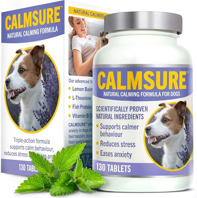 electric pet fountain